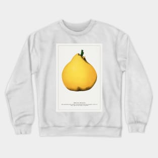 Meech's Prolific Pear  Lithograph (1900) Crewneck Sweatshirt